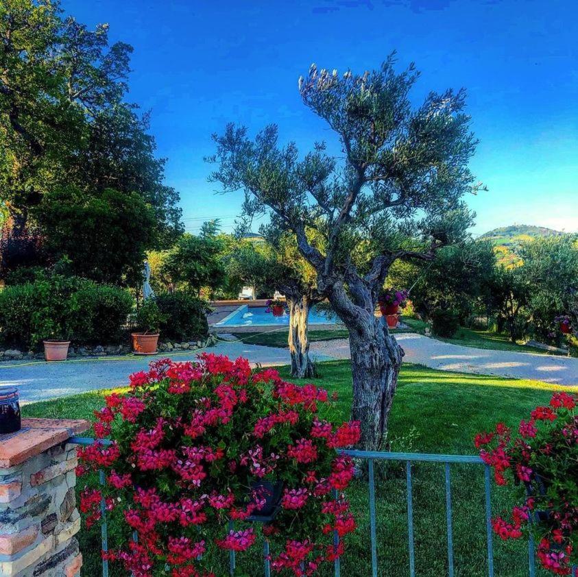 Casale Il Cerqueto Bed and Breakfast San Severino Marche Eksteriør billede
