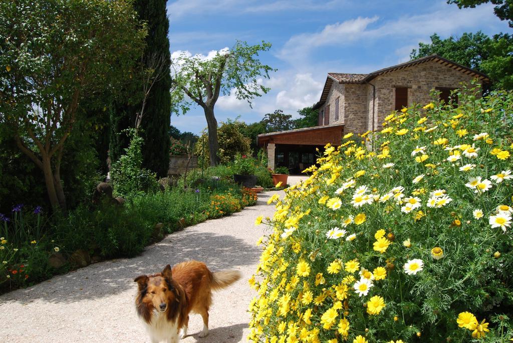 Casale Il Cerqueto Bed and Breakfast San Severino Marche Eksteriør billede