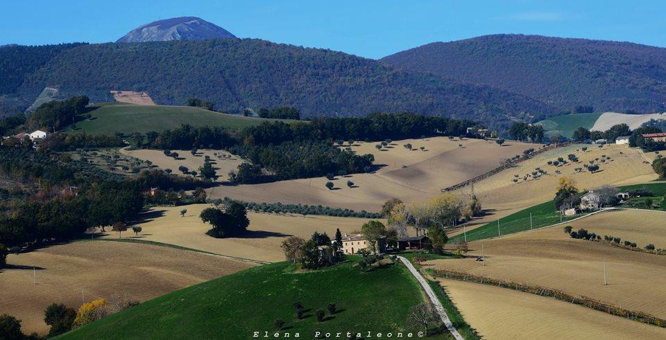 Casale Il Cerqueto Bed and Breakfast San Severino Marche Eksteriør billede
