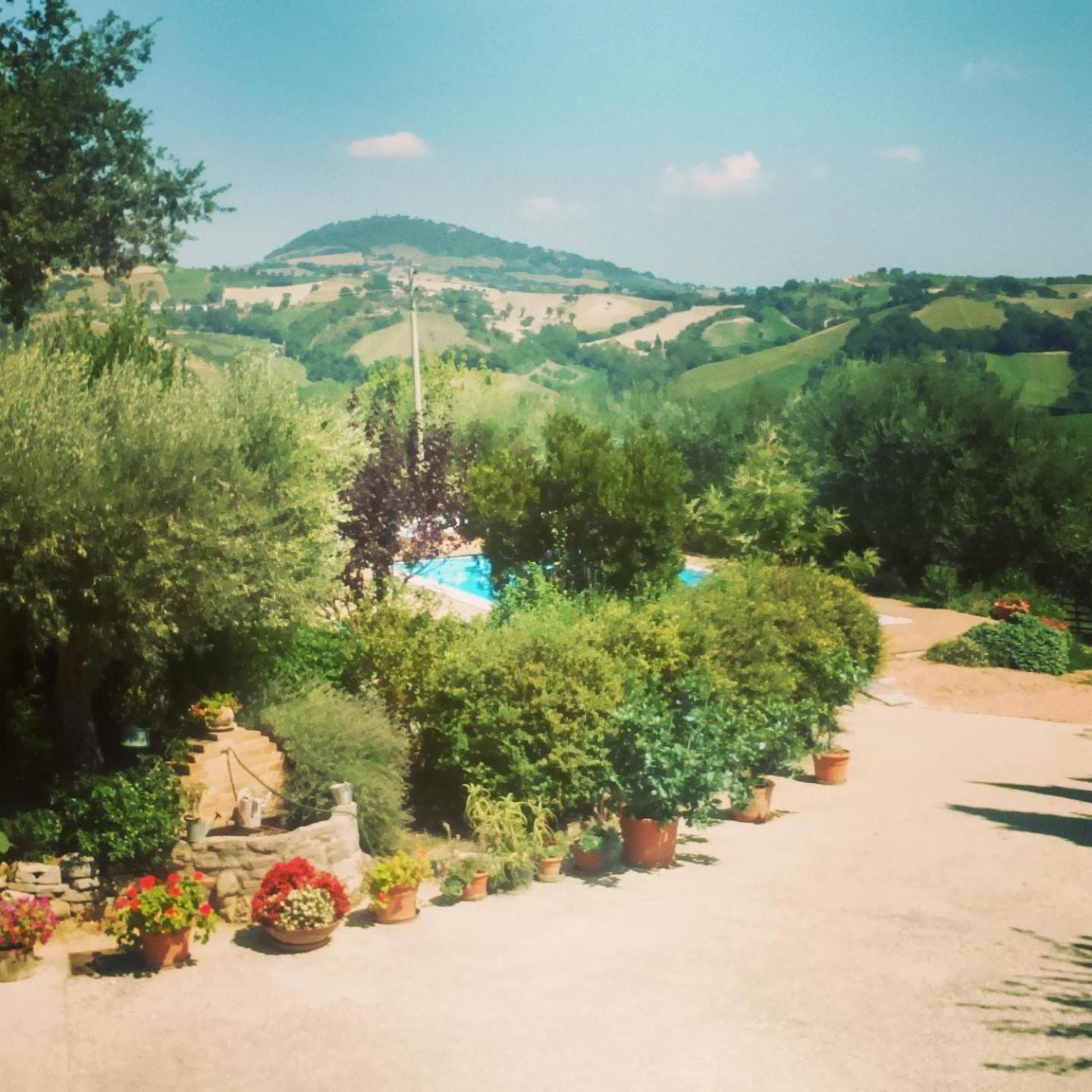 Casale Il Cerqueto Bed and Breakfast San Severino Marche Værelse billede