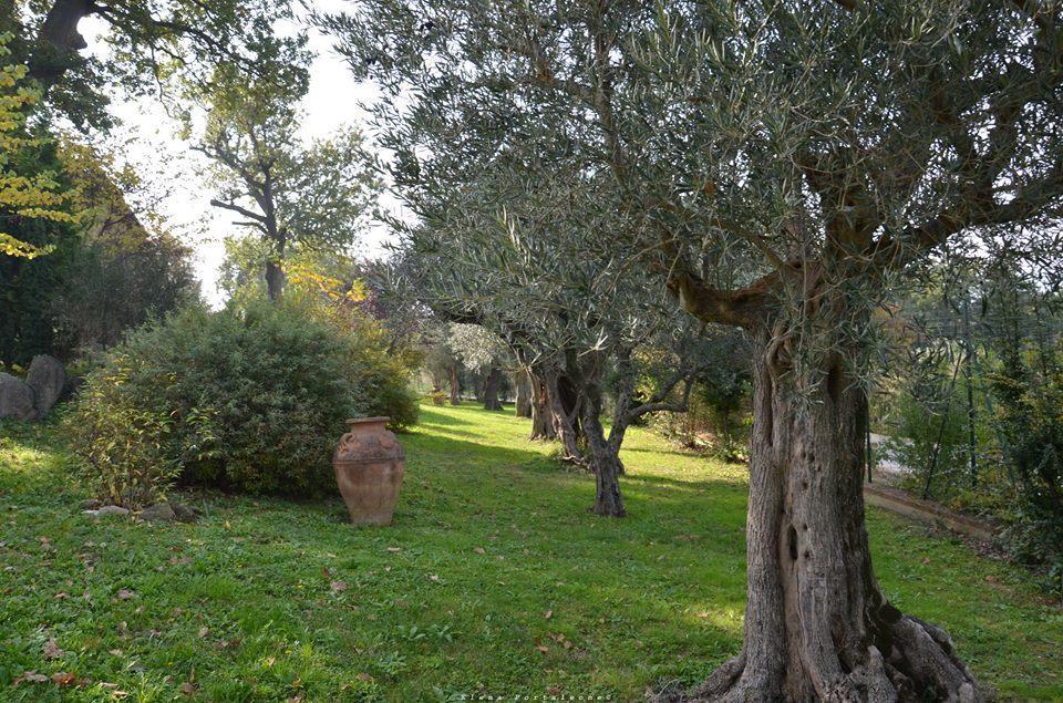 Casale Il Cerqueto Bed and Breakfast San Severino Marche Eksteriør billede