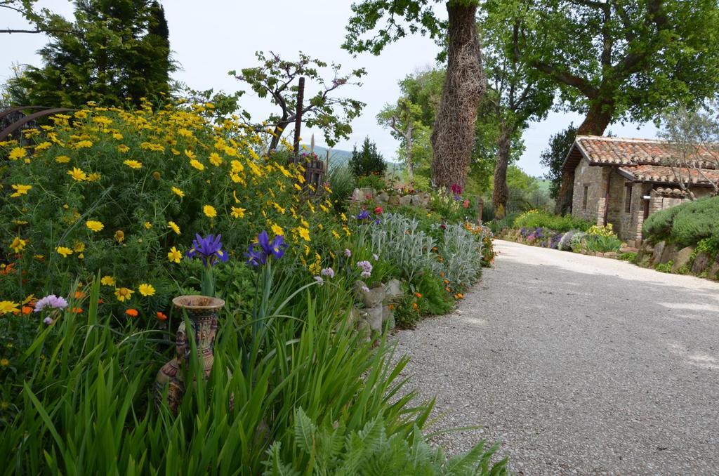 Casale Il Cerqueto Bed and Breakfast San Severino Marche Eksteriør billede