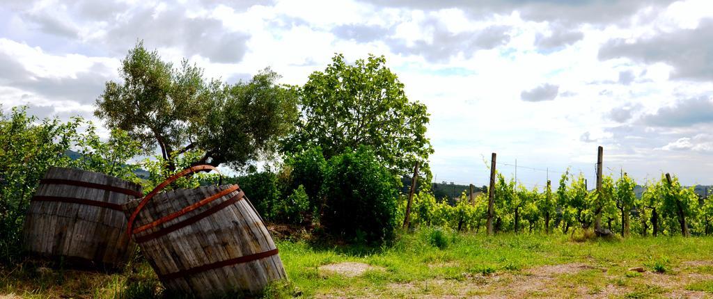 Casale Il Cerqueto Bed and Breakfast San Severino Marche Eksteriør billede