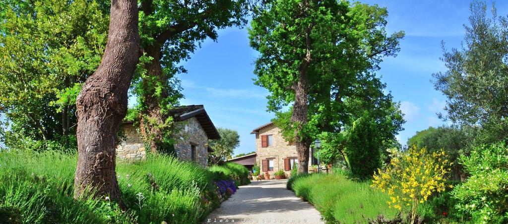 Casale Il Cerqueto Bed and Breakfast San Severino Marche Eksteriør billede