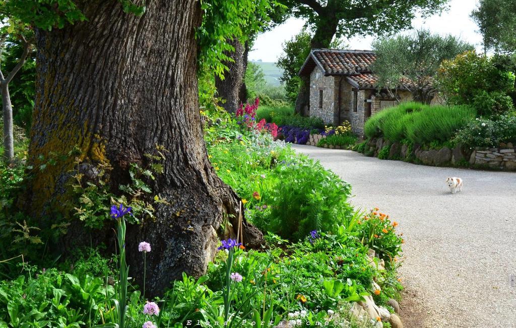 Casale Il Cerqueto Bed and Breakfast San Severino Marche Eksteriør billede
