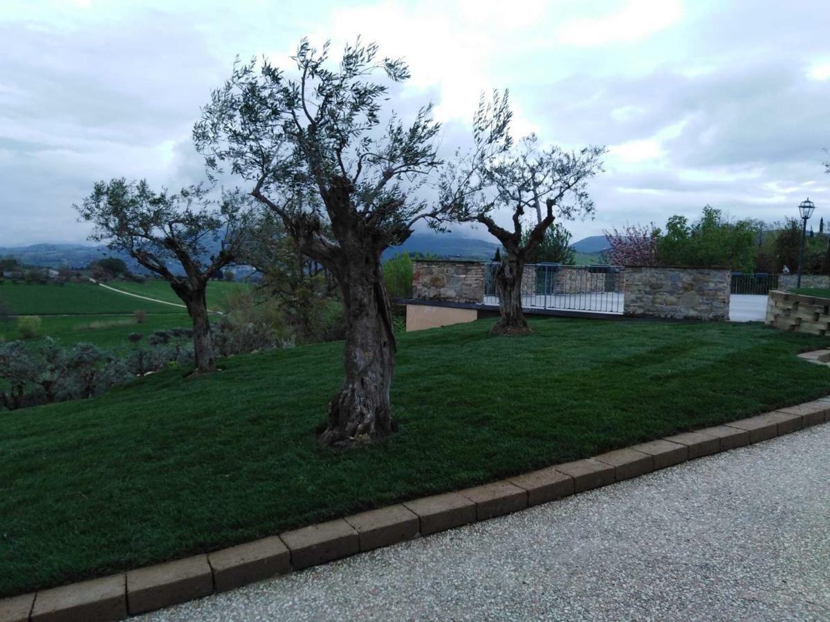 Casale Il Cerqueto Bed and Breakfast San Severino Marche Eksteriør billede